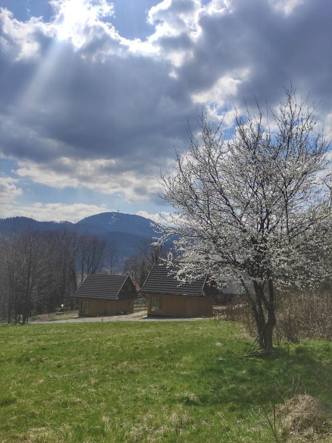 Cichosza W Szczyrku Chalet *