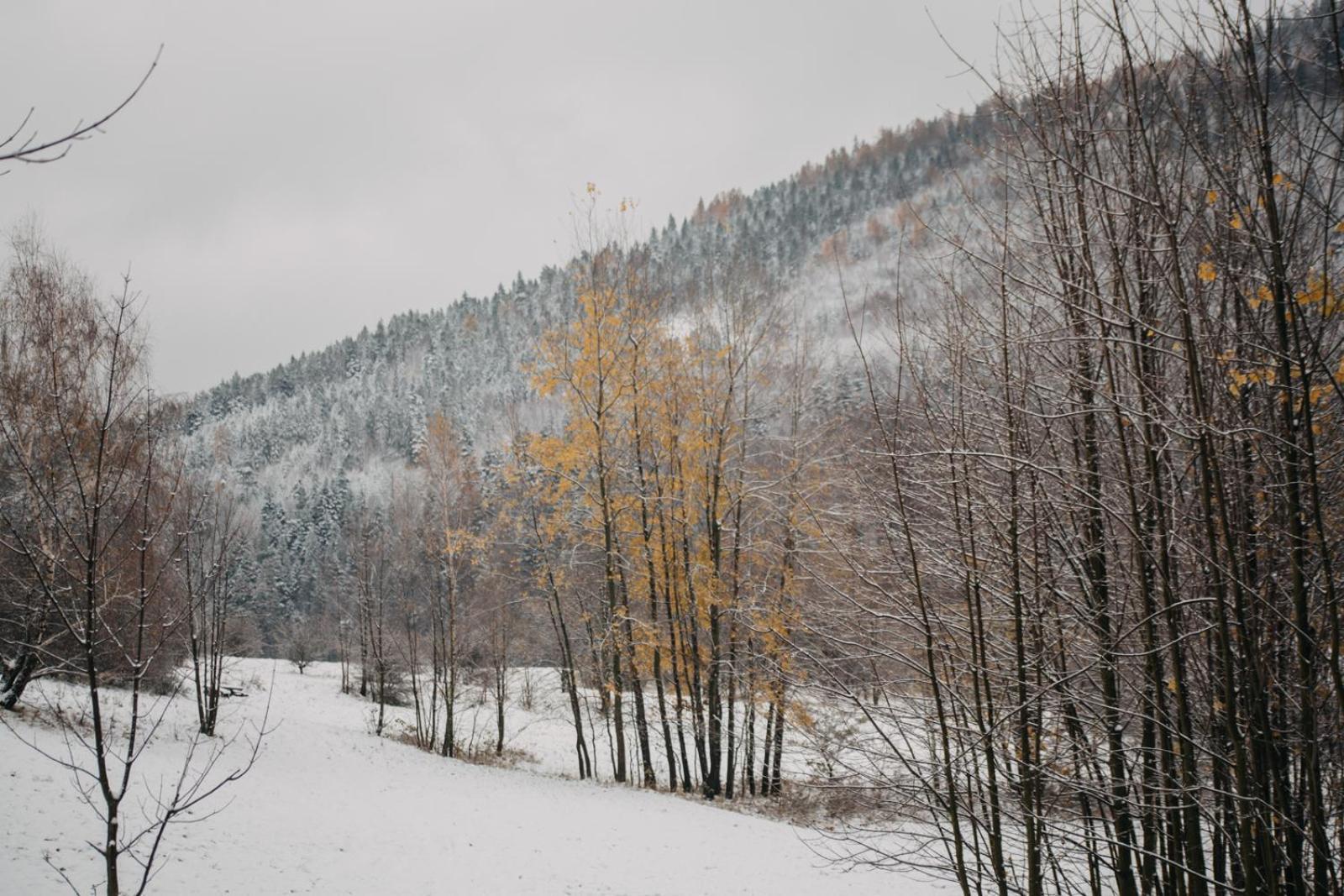 Cichosza W Szczyrku Chalet Szczyrk
