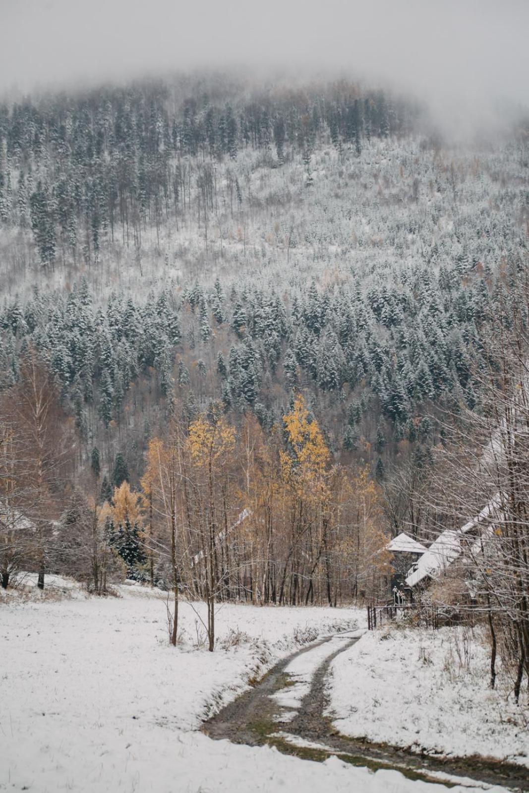 Chalet Cichosza W Szczyrku *